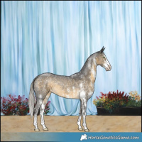 Horse Color:Silver Buckskin Sabino Rabicano 
