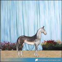 Horse Color:Brown Rabicano 