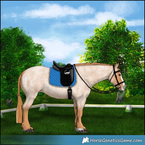 Horse Color:Red Roan Splash 