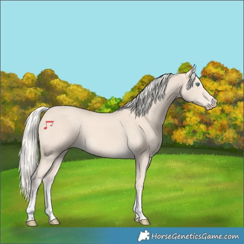 Horse Color:Cremello Tobiano 