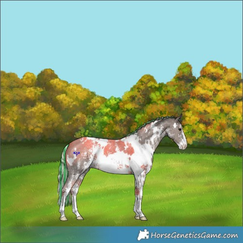 Horse Color:Painted White Spotted Silver Black Sabino 