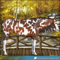 Horse Color:Bay Splash Blanket 
