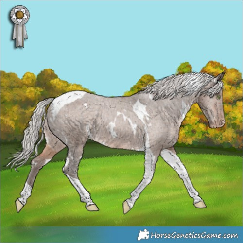 Horse Color:White Spotted Silver Bay Dun Tobiano Appaloosa Rabicano 