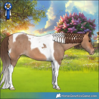 Horse Color:Bay Dun Tobiano Varnish 