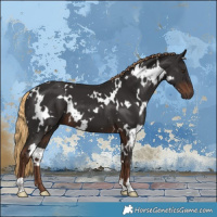 Horse Color:White Spotted Liver Chestnut 