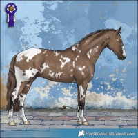 Horse Color:White Spotted Liver Red Dun 