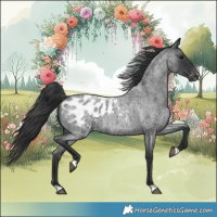 Horse Color:Blue Roan Blanket 