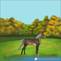 Horse Color:Silver Buckskin 