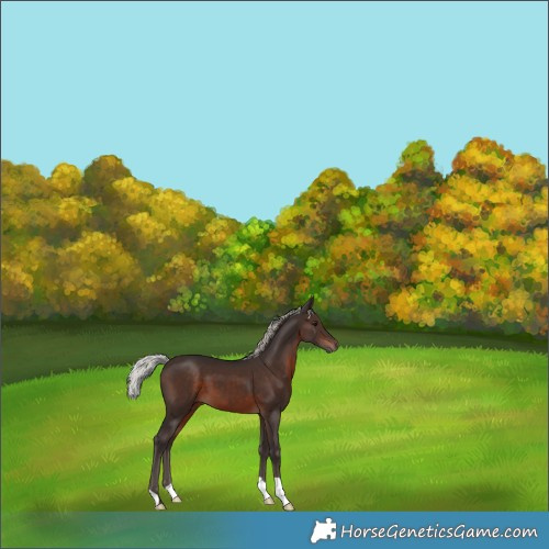 Horse Color:Silver Brown 
