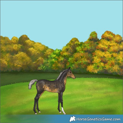 Horse Color:Silver Buckskin 