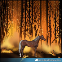 Horse Color:Chocolate Silver Brown Rabicano 
