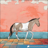 Horse Color:Liver Red Dun Tobiano 