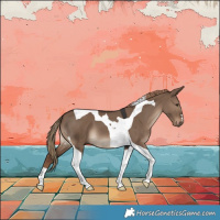 Horse Color:Liver Red Dun Tobiano 