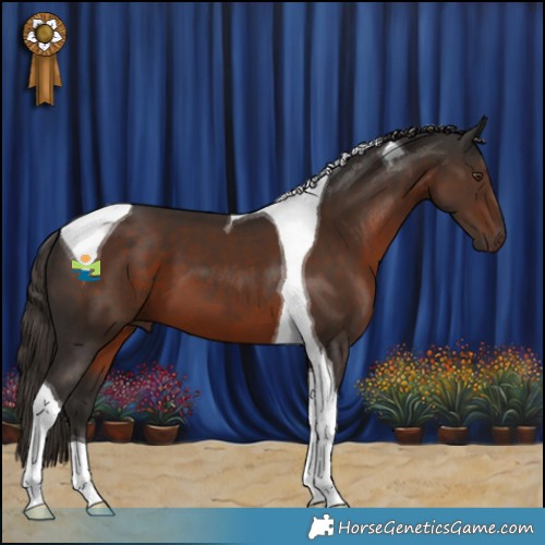 Horse Color:Liver Chestnut Tobiano 