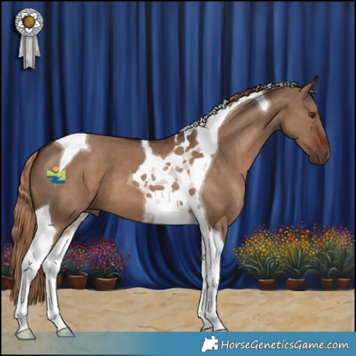 Horse Color:Liver Red Dun Tobiano 