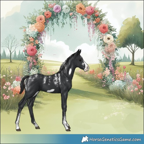 Horse Color:Powder White Black Frame 