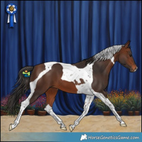 Horse Color:Brown Tobiano 