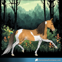 Horse Color:Buckskin Tobiano