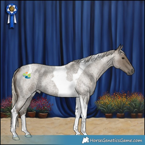 Horse Color:Silver Smoky Blue Roan Tobiano 