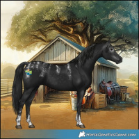 Horse Color:Powder White Gray Black