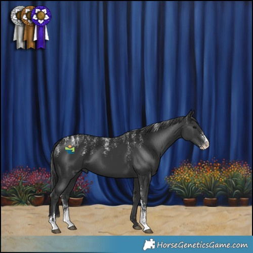Horse Color:Powder White Black 