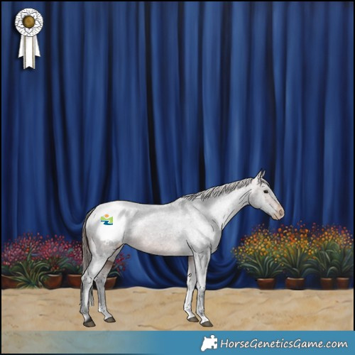 Horse Color:Powder White Brown Appaloosa 