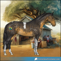 Horse Color:Buckskin Tobiano Rabicano 