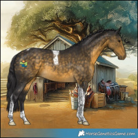 Horse Color:Buckskin Tobiano Rabicano 