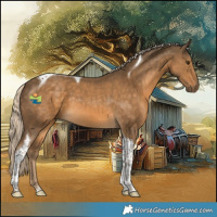 Horse Color:Chocolate Palomino Tobiano