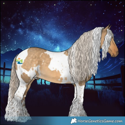 Horse Color:White Spotted Chocolate Palomino Dun Tobiano 