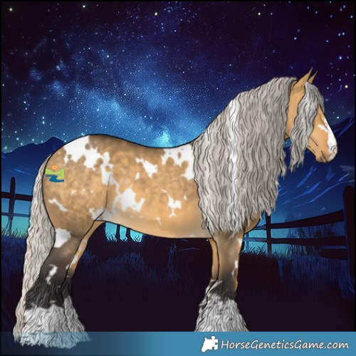 Horse Color:White Spotted Silver Buckskin Dun 