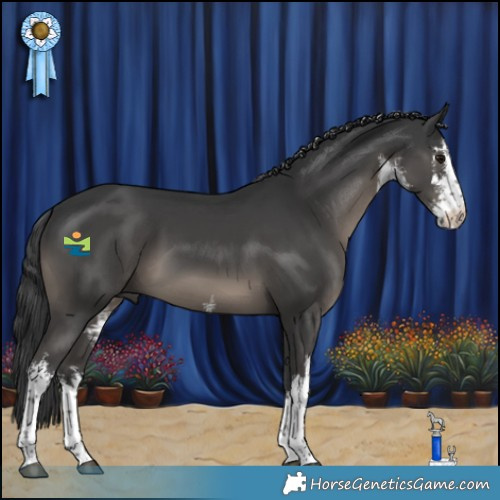 Horse Color:White Spotted Black 
