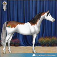 Horse Color:Bay Splash 
