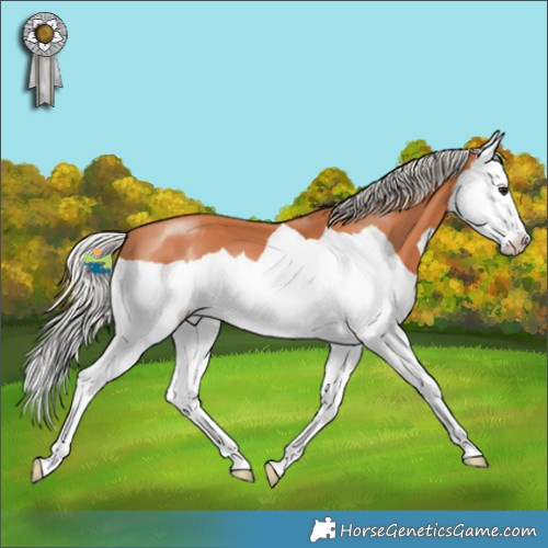 Horse Color:Silver Bay Splash 