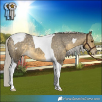 Horse Color:Silver Buckskin Dun Tobiano Appaloosa Rabicano 