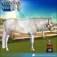 Horse Color:Silver Buckskin Dun Tobiano Appaloosa Rabicano 