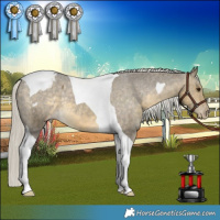 Horse Color:Silver Buckskin Dun Tobiano Appaloosa Rabicano