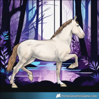 Horse Color:Smoky Grullo Pearl Splash Varnish 