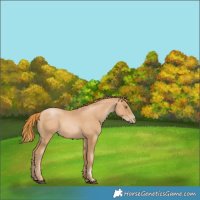 Horse Color:Chestnut Pearl