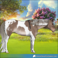 Horse Color:Liver Red Dun Mushroom Tobiano Varnish Rabicano 