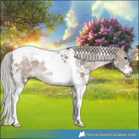 Horse Color:Silver Brown Dun Mushroom Sabino Tobiano Rabicano 