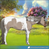 Horse Color:Liver Red Dun Mushroom Tobiano 