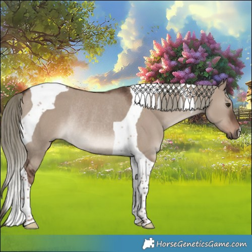 Horse Color:Liver Red Dun Mushroom Tobiano Rabicano 