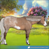 Horse Color:Silver Bay Ice Dun Frame 
