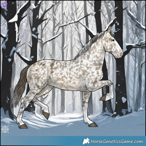 Horse Color:Buckskin Dun Splash Appaloosa
