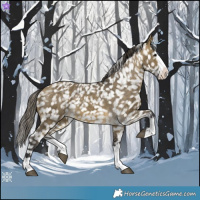 Horse Color:Buckskin Dun Splash Snowflake Varnish