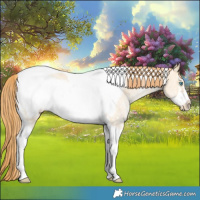 Horse Color:Buckskin Pearl Dun Sabino Tobiano Frame 