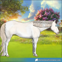 Horse Color:Perlino Dun Tobiano Frame 
