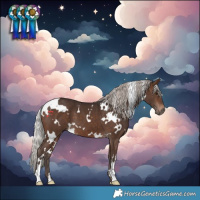 Horse Color:White Spotted Silver Brown