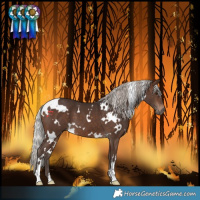 Horse Color:White Spotted Silver Brown 
